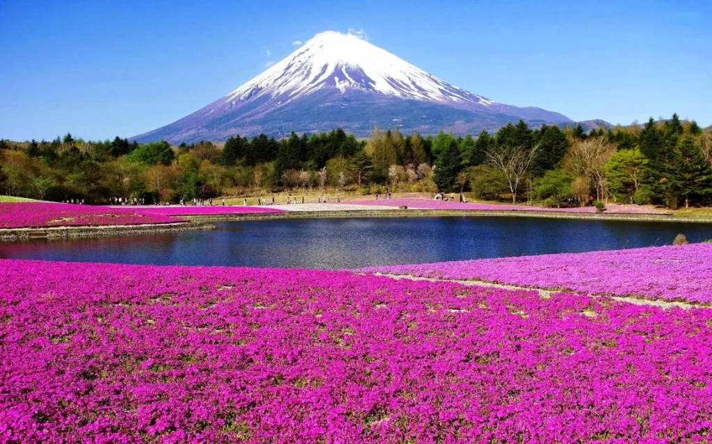 keindahan gunung fuji