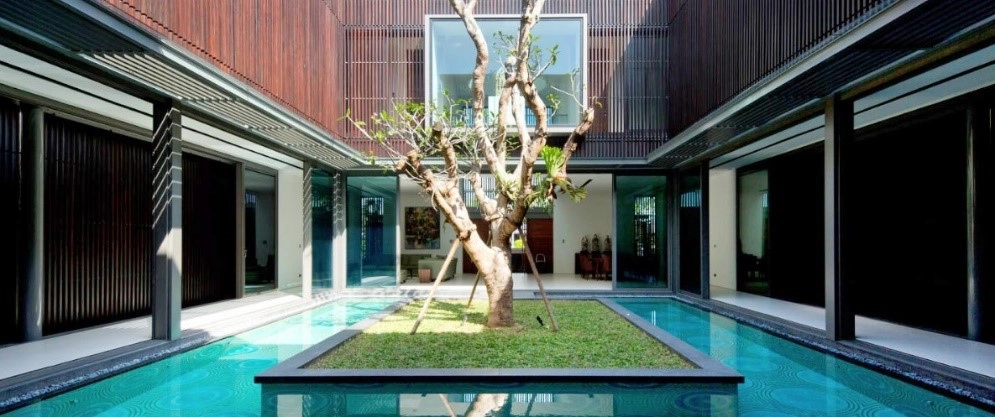 inner court pohon plumeria