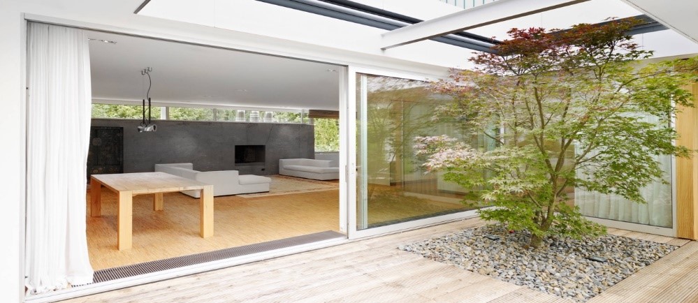 inner court pohon maple jepang